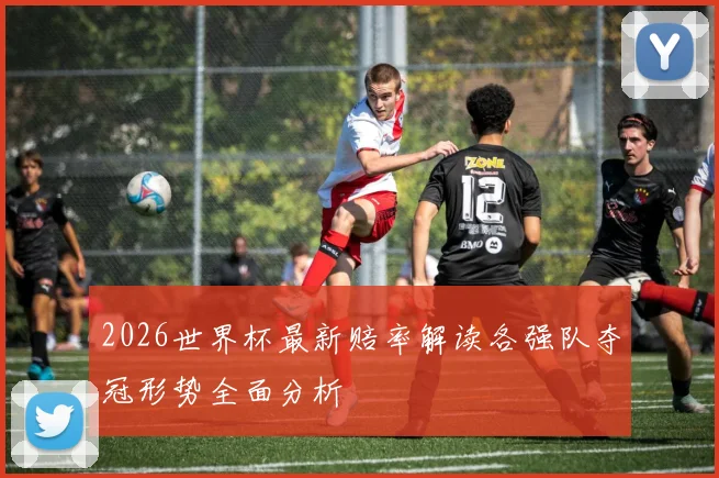 2026世界杯最新赔率解读各强队夺冠形势全面分析