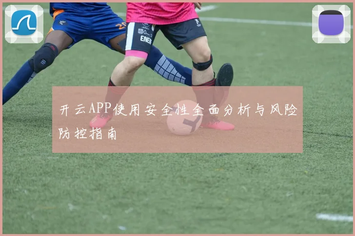 开云APP使用安全性全面分析与风险防控指南