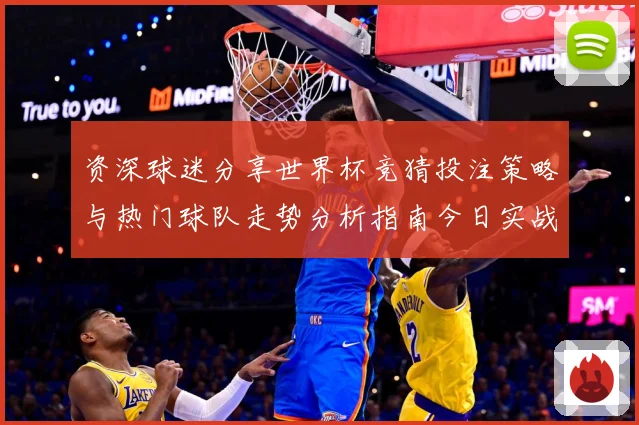 资深球迷分享世界杯竞猜投注策略与热门球队走势分析指南今日实战
