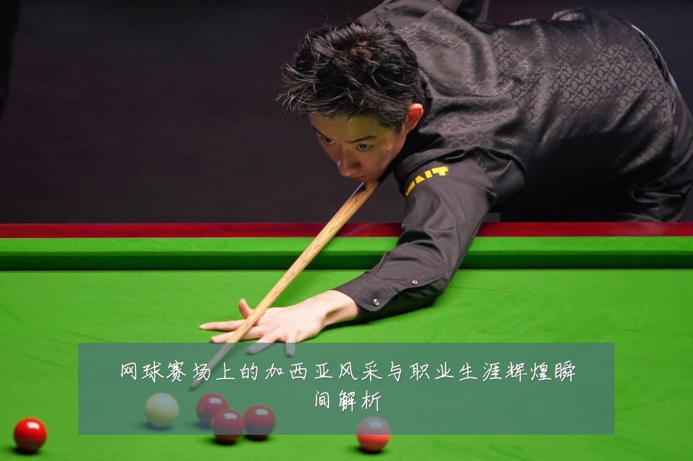 网球赛场上的加西亚风采与职业生涯辉煌瞬间解析