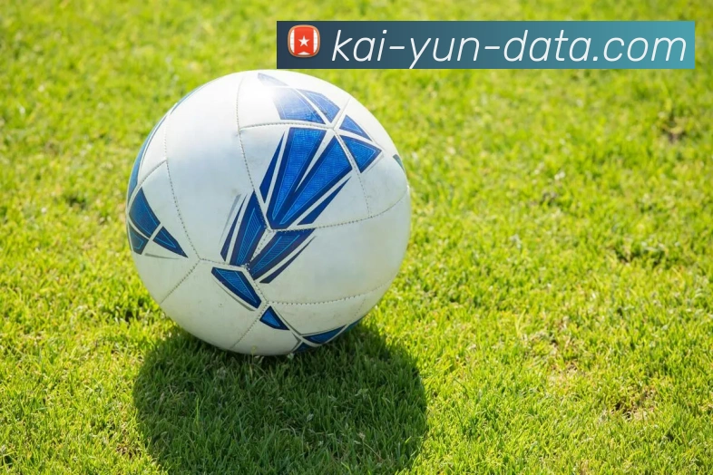 开云平台展示图