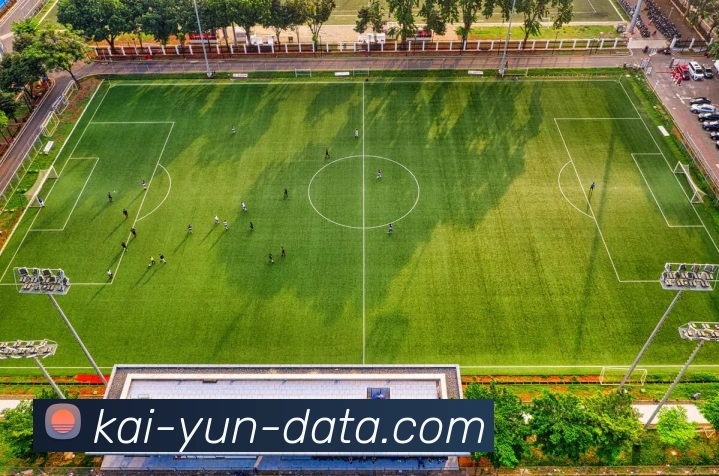 开云APP是否安全使用指南及隐私保护措施详解